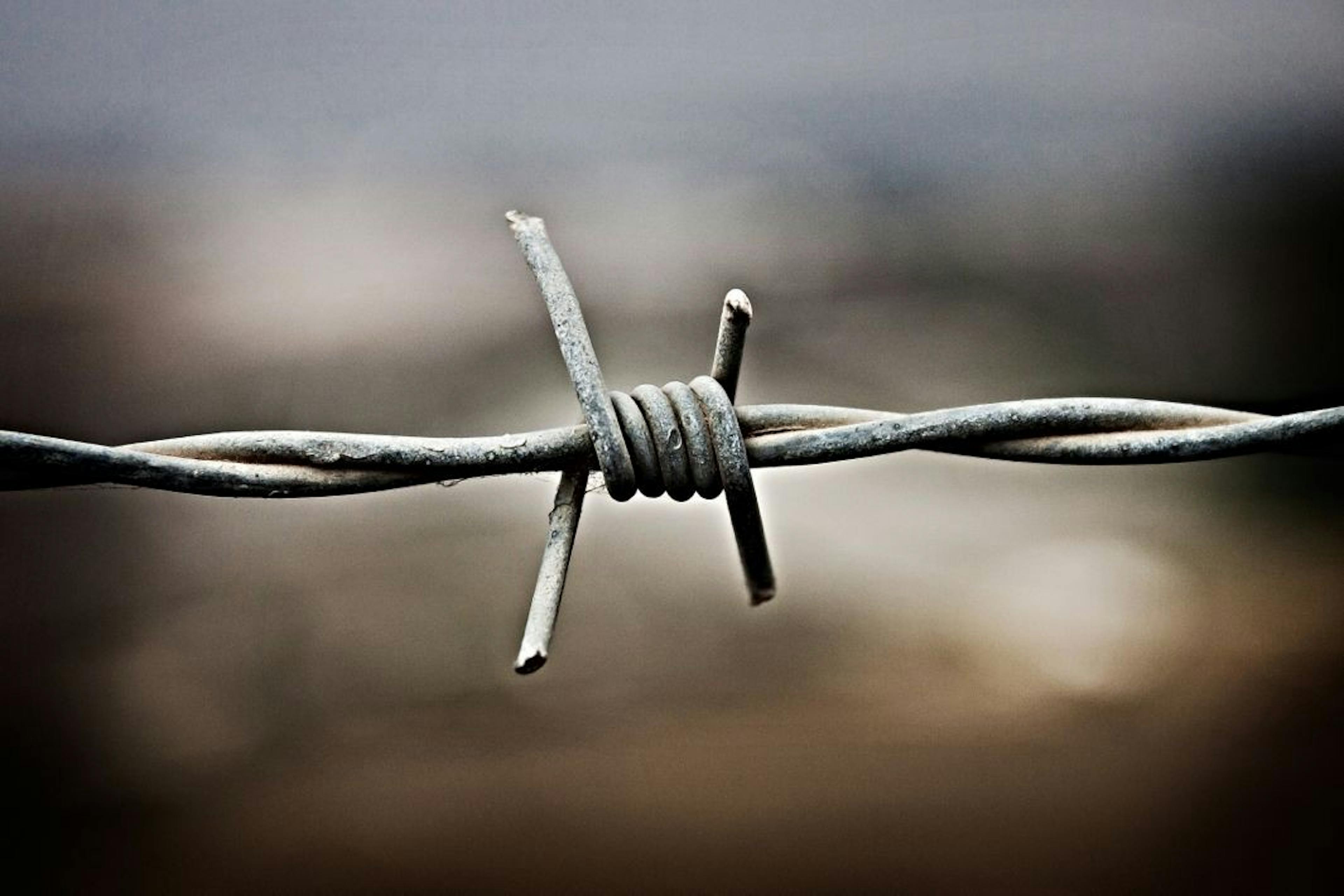 featured image - Back Away from the Bitcoin Barbed Wire
