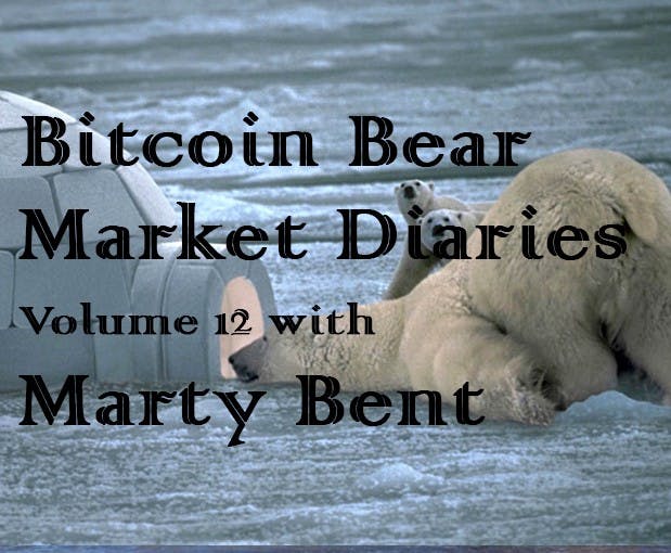 featured image - Bitcoin Bear Market Diaries Volume 12 Marty Bent