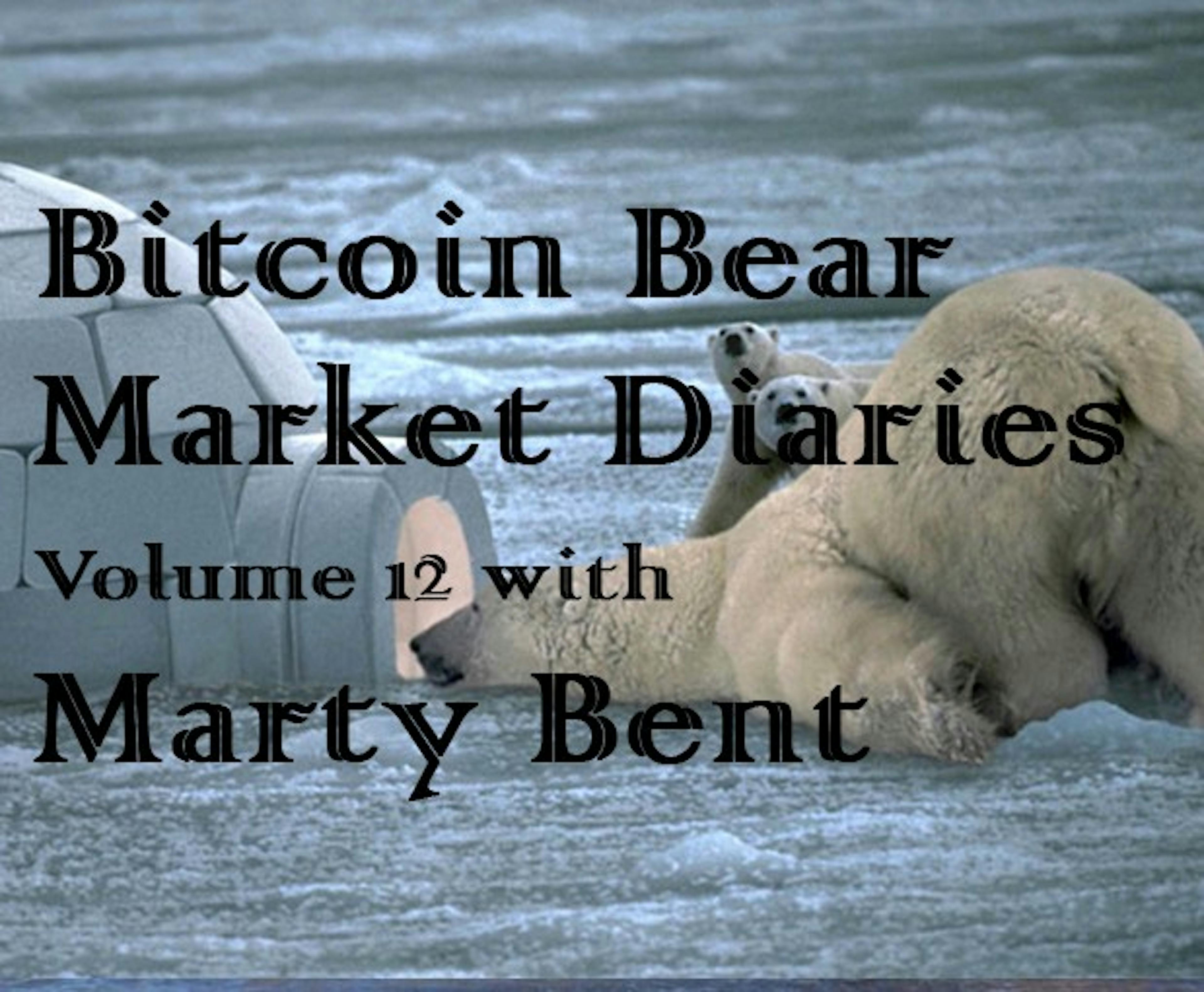 /bitcoin-bear-market-diaries-volume-12-marty-bent-20a4df0e224d feature image