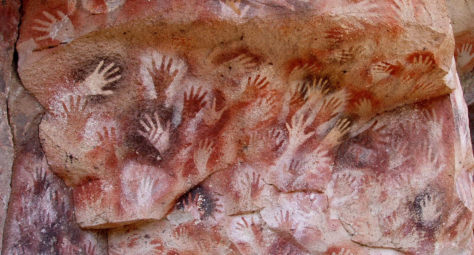 /no-description-provided-8d9e0f3a3abb feature image