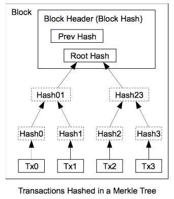 featured image - Achieving Blockchain Scalability with Sparse Merkle Trees and Bloom Filters