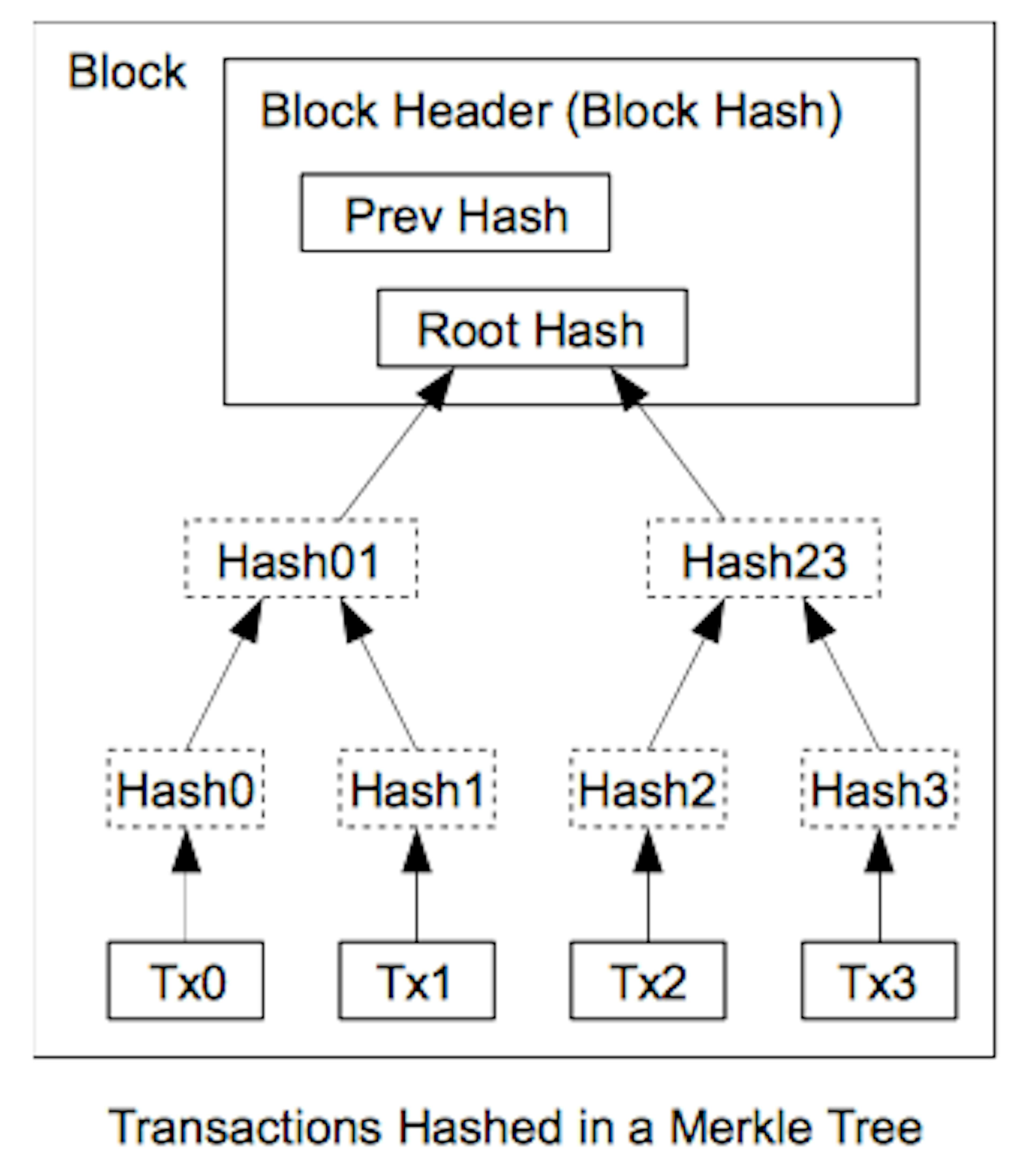 /achieving-blockchain-scalability-with-sparse-merkle-trees-and-bloom-filters-3b9945f003f feature image