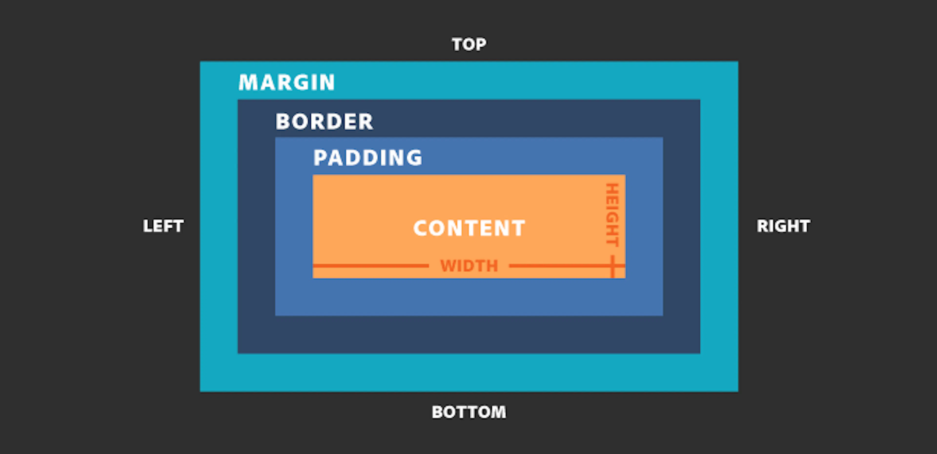 featured image - The Box Model
