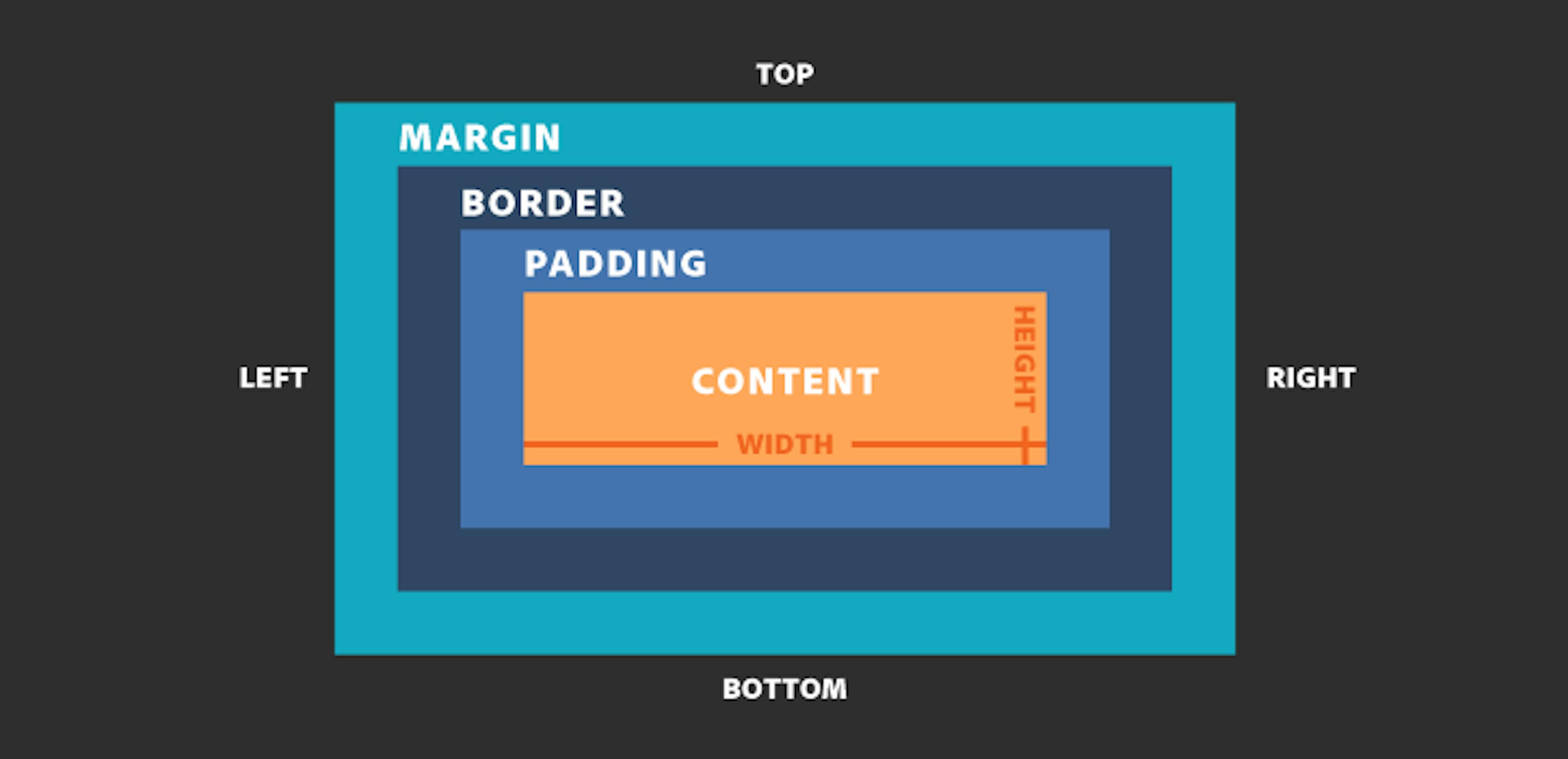 The Box Model