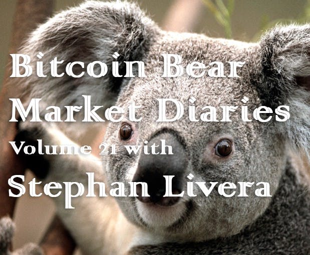 featured image - Bitcoin Bear Market Diaries Volume 21 Stephan Livera