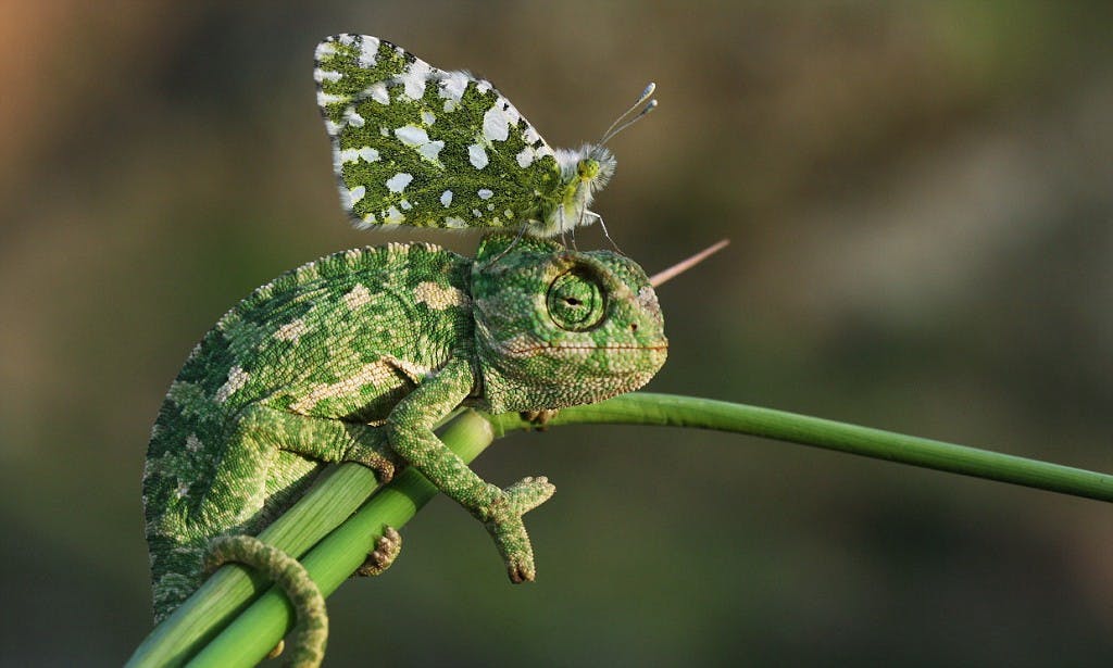 /damn-girl-youve-got-a-high-aq-ba71a5c9c7f6 feature image