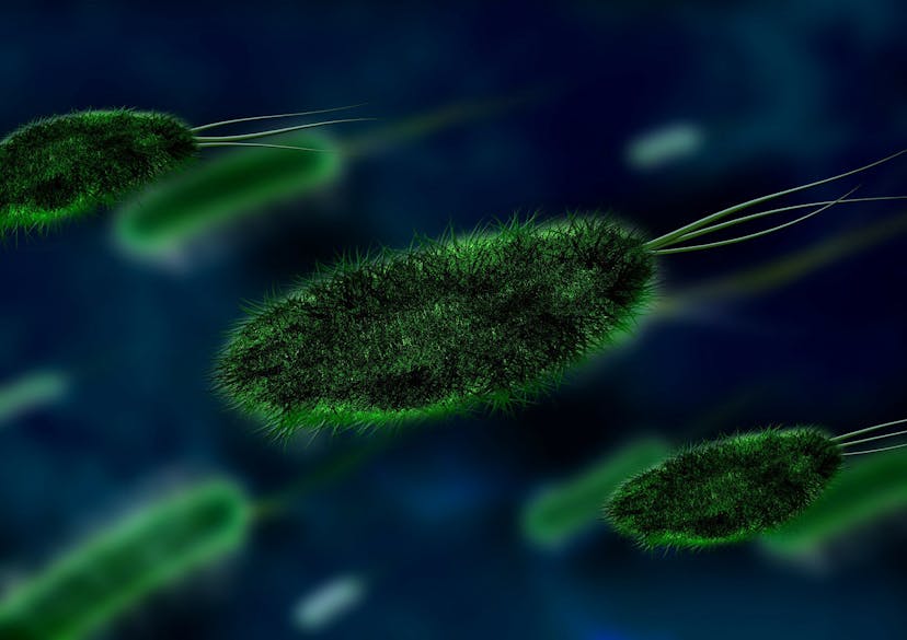 /ai-in-action-healthcare-79efd8ca3b14 feature image