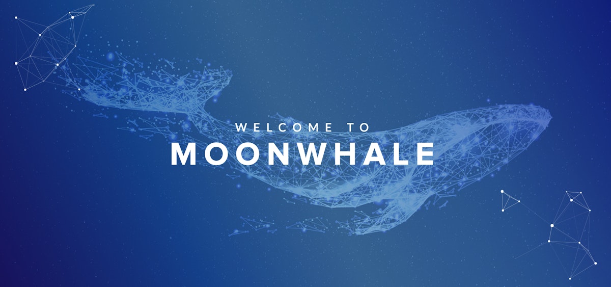 featured image - Moonwhale Ventures: Driving Crypto Global Adoption