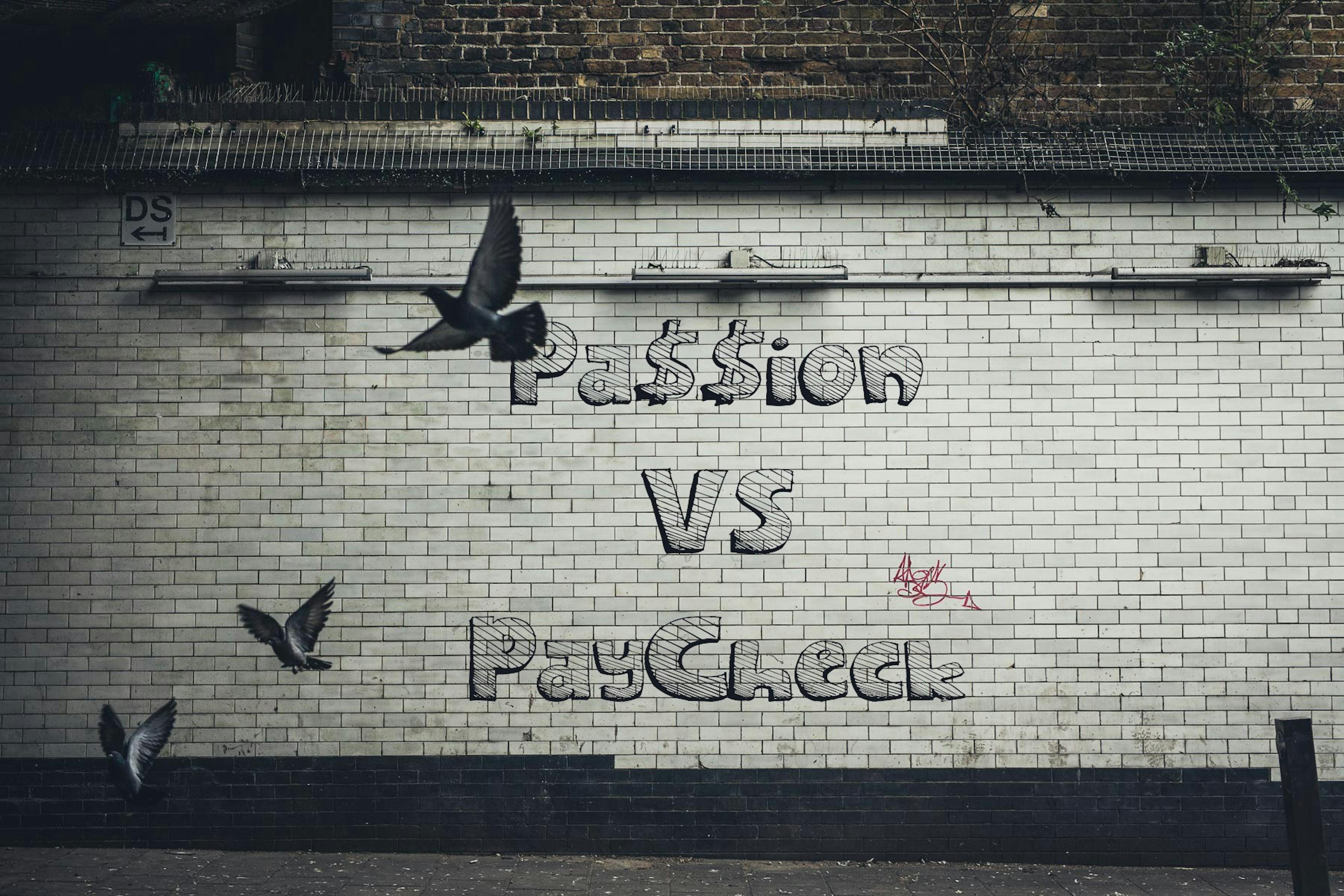 featured image - Passion vs Paycheck