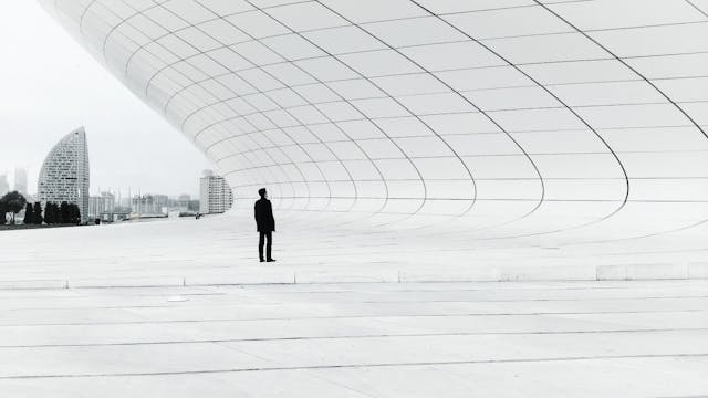 /what-if-elon-musk-went-to-harvard-4f8433e8f456 feature image