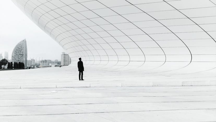 /what-if-elon-musk-went-to-harvard-4f8433e8f456 feature image