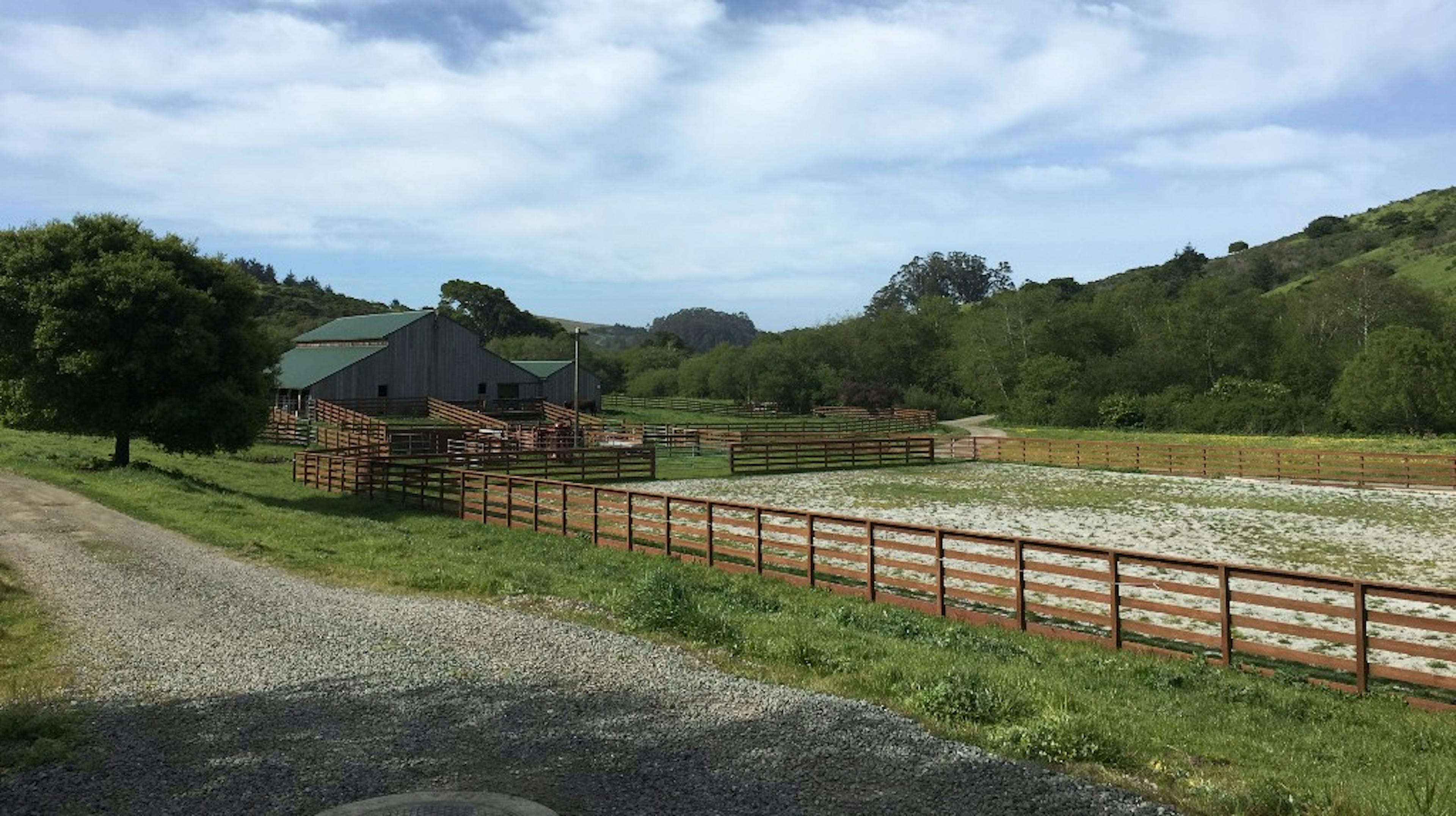 Barriers to Deploying Internet-of-Things (IoT) on the Farm