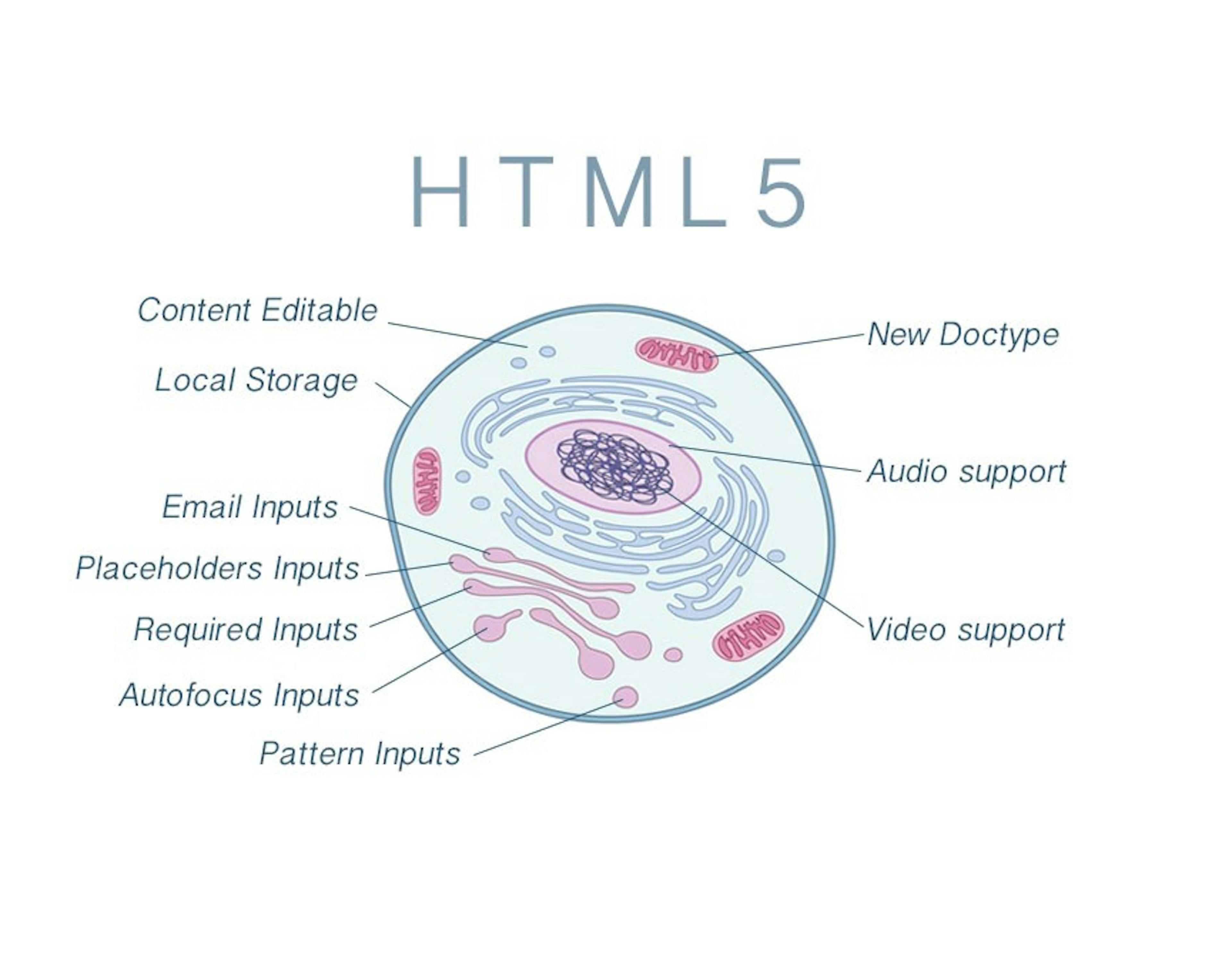 [HTML5] Review : the good parts