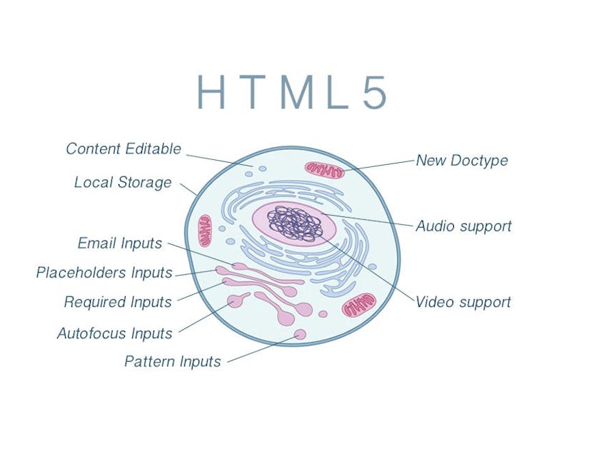 /html5-tutorial-for-beginners-examples-features-list-review-901f3aea2386 feature image