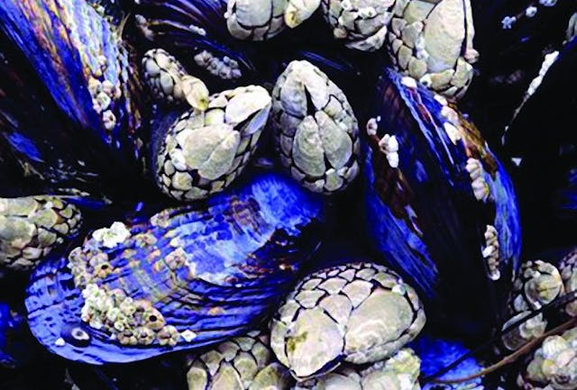 /biologically-inspired-innovation-1f8c30aed46b feature image