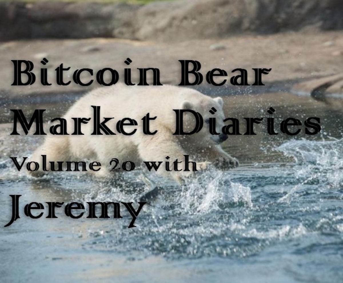 featured image - Bitcoin Bear Market Diary Volume 20 with Jeremy