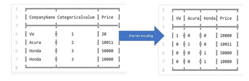 One Hot Encoding Vs Binary Encoding What is One Hot Encoding? Why And When do you have to use it? | HackerNoon