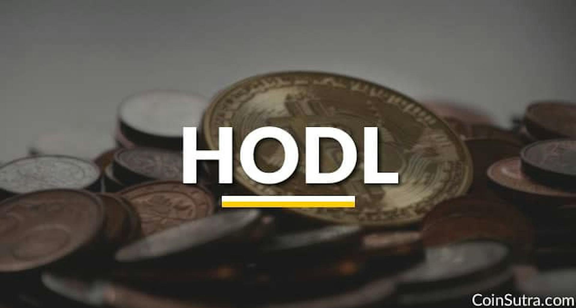 featured image - The Power Of HODL: A Ultimate Guide