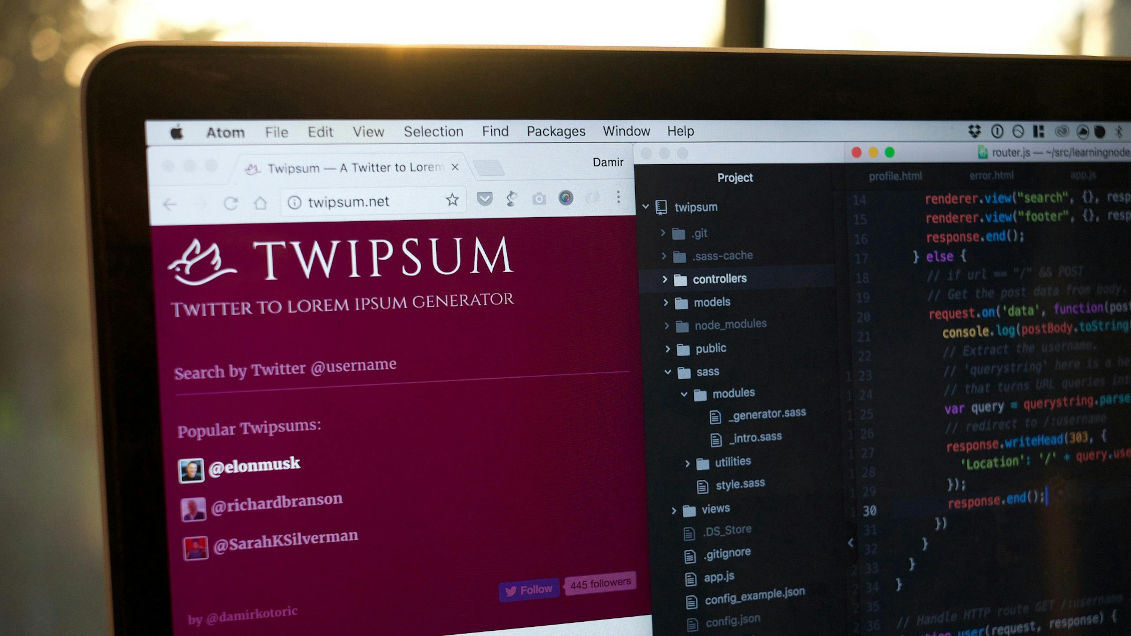 featured image - Building Twipsum from idea to launch in two weeks