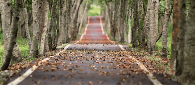 /webassembly-the-journey-jit-compilers-dfa4081a6ffb feature image