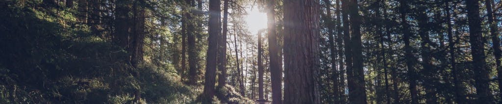 /using-aws-lambda-to-escape-the-monitor-of-monitors-infinite-loop-924f27e35bc1 feature image