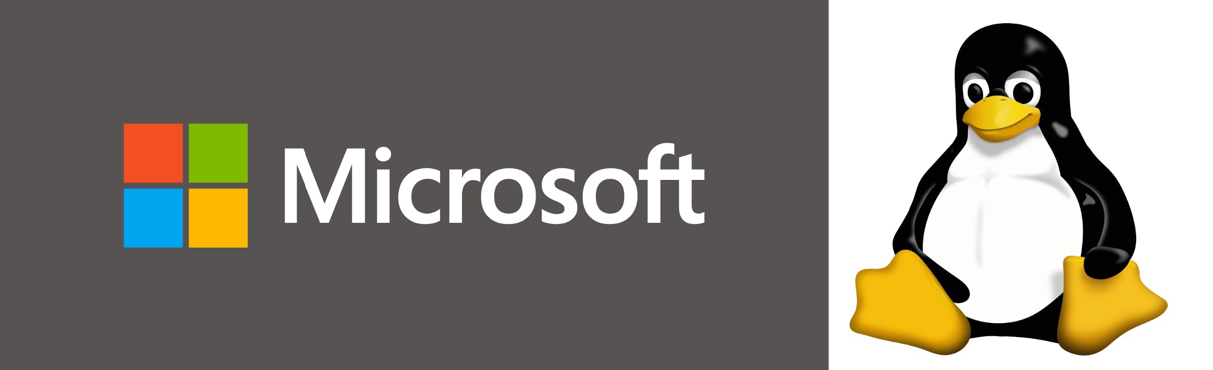 /did-microsoft-really-just-open-source-all-its-patents-3e419ae1a439 feature image