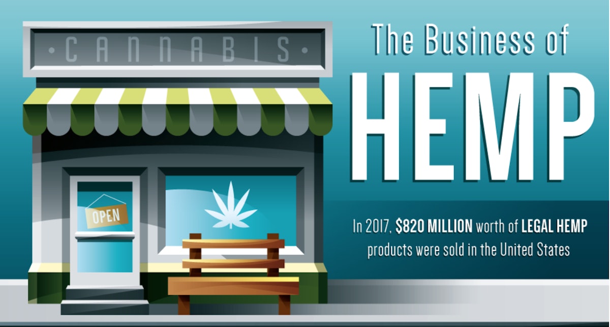 featured image - Navigating the Business of Hemp