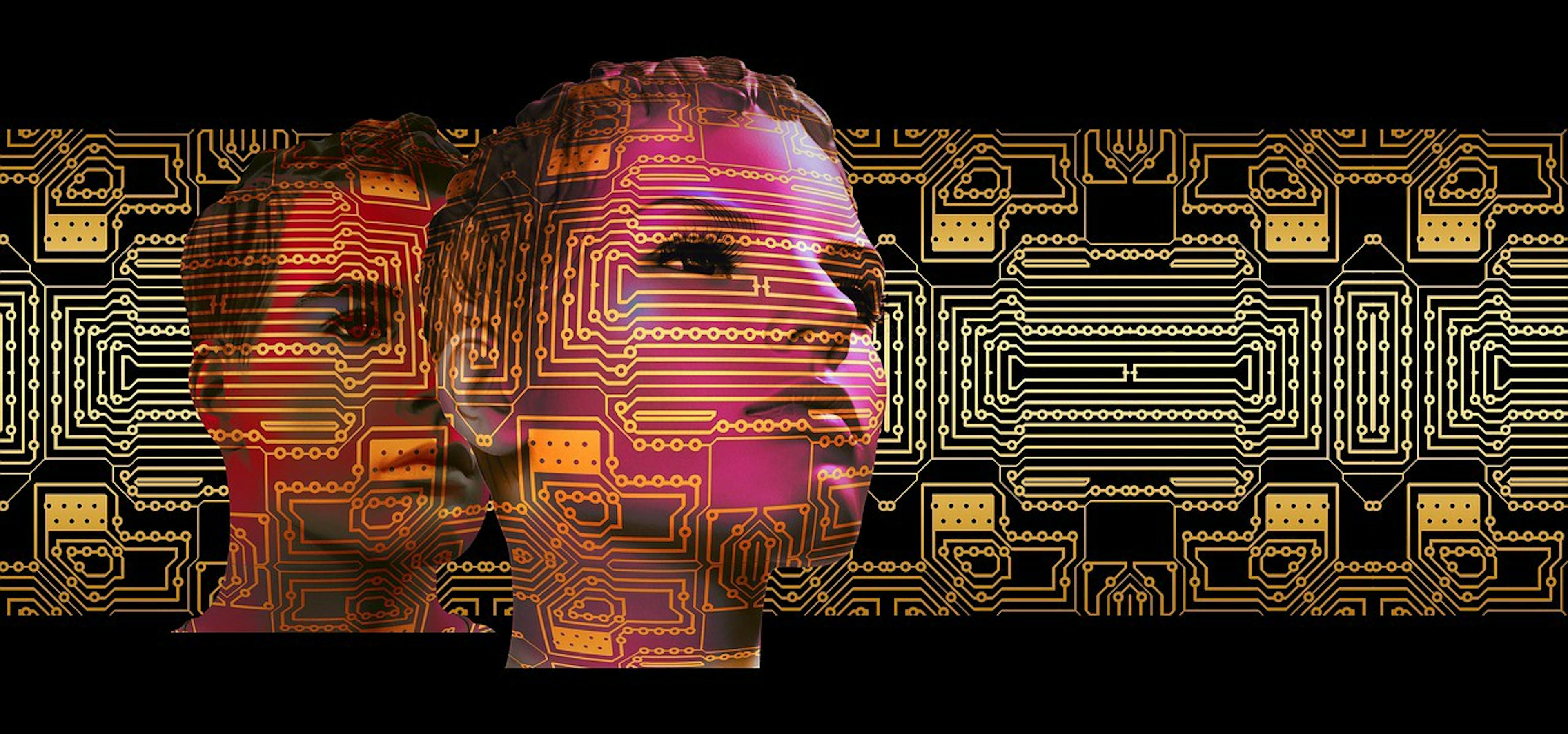 featured image - The third kind of humans