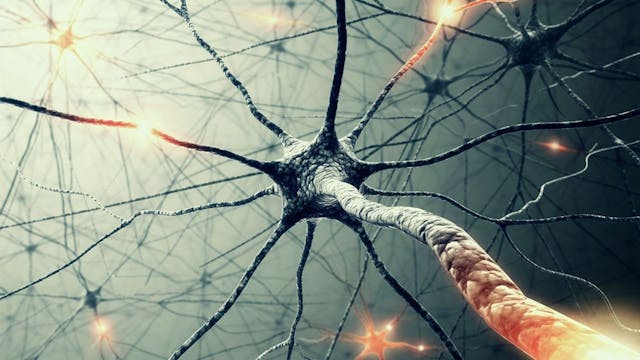 /how-artificial-intelligence-will-change-the-human-experience-99d795ce84b8 feature image