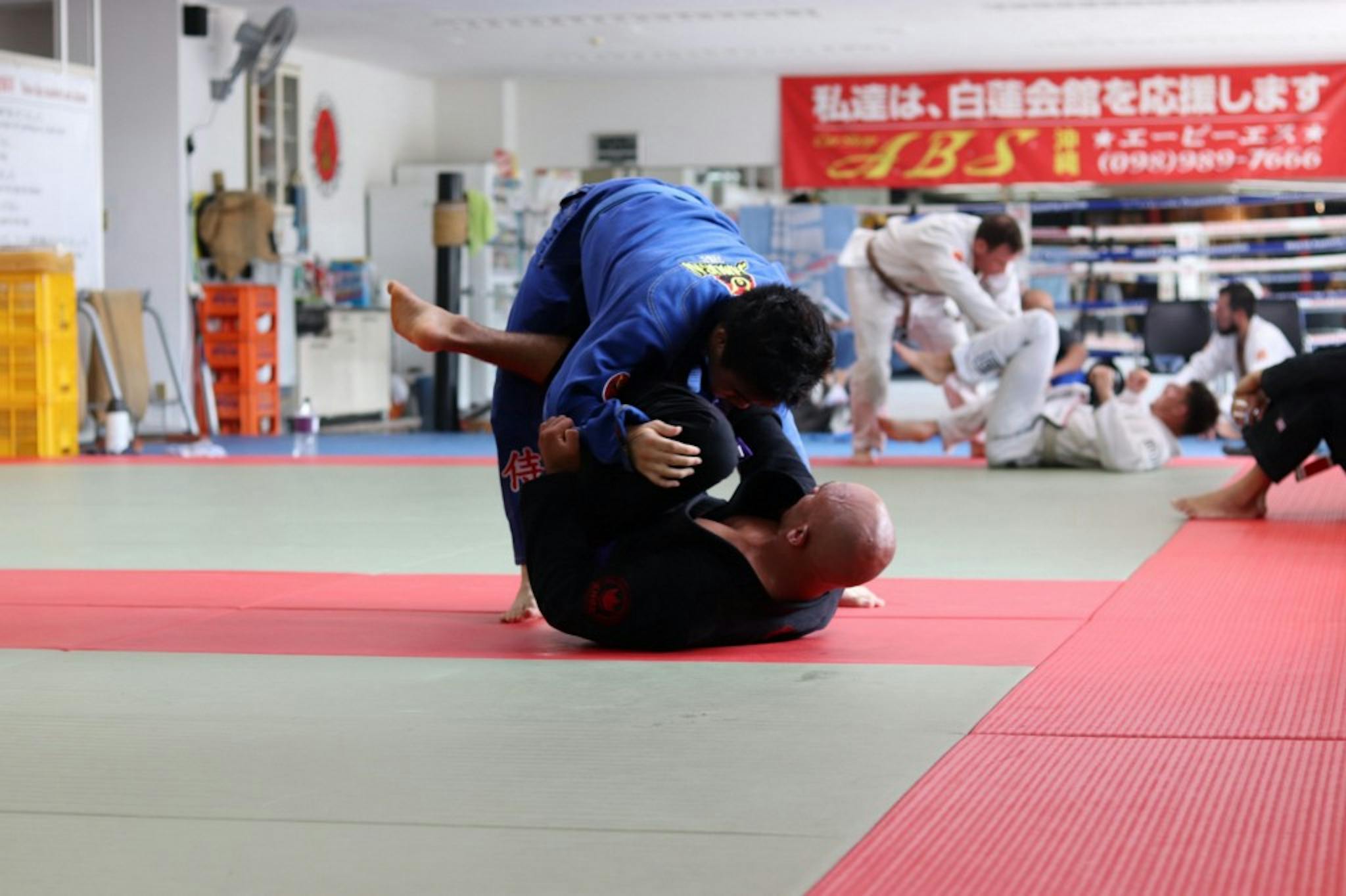 featured image - Learn Jiu-Jitsu, Program Better