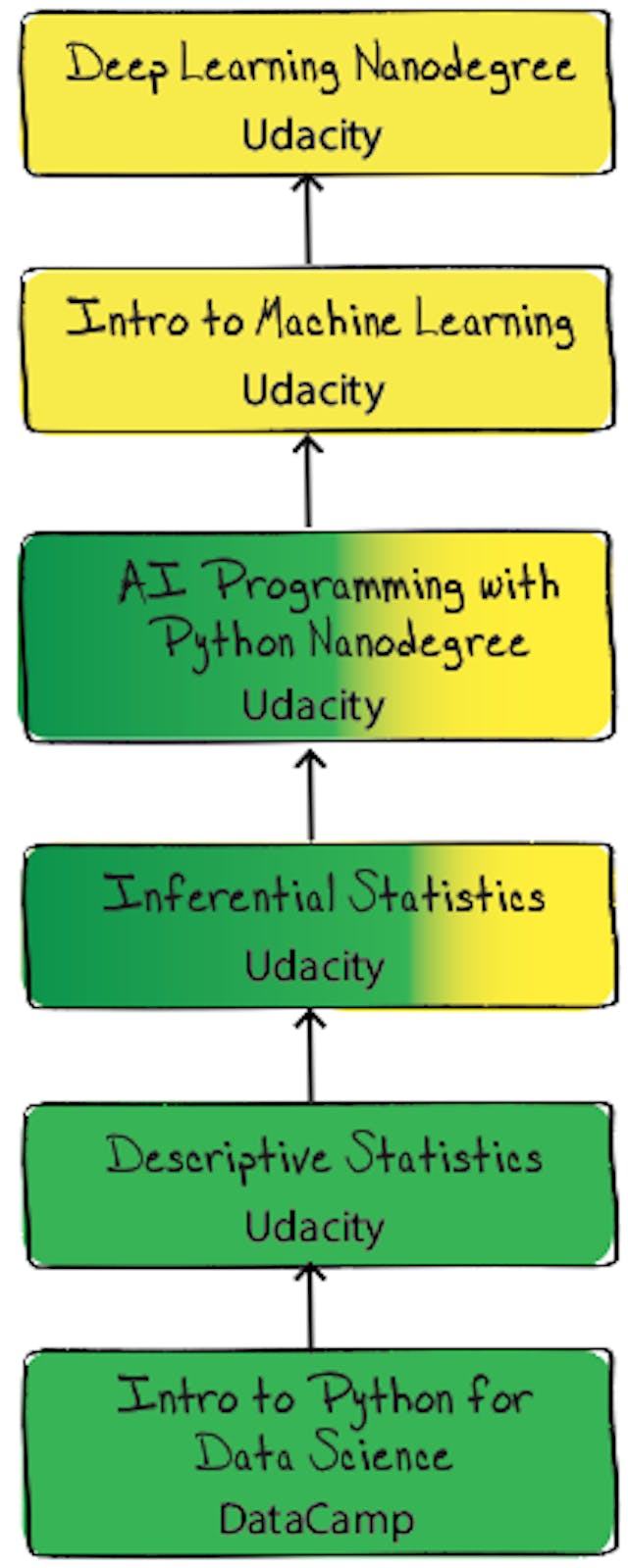 Why My 11-Year Switched to Python | HackerNoon