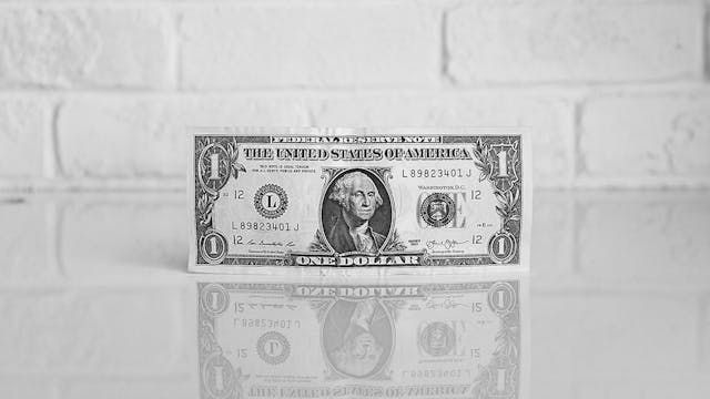 /choose-the-right-stakeholders-why-we-never-took-outside-investment-85258e1bc87 feature image