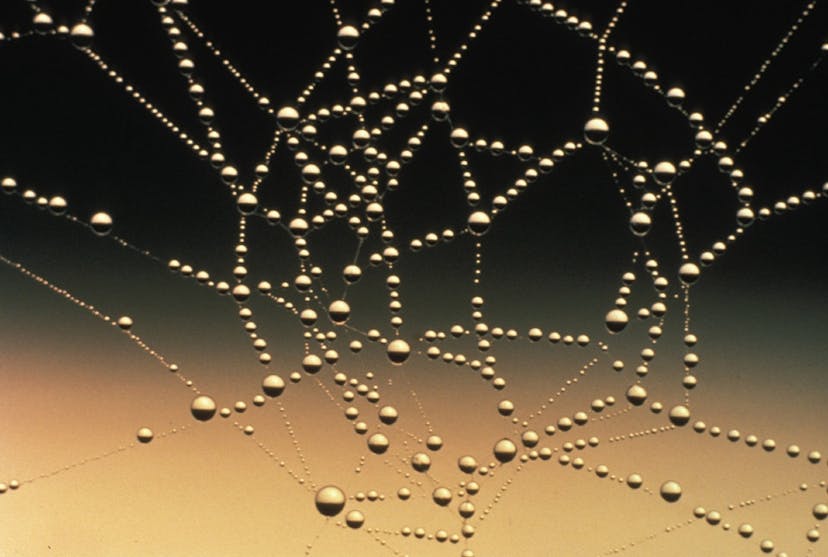 /how-can-hierarchical-test-structure-absolutely-make-a-mess-f72f47b5bf57 feature image