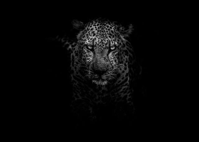 /enhance-your-ide-with-vim-10b0a6ae2e40 feature image