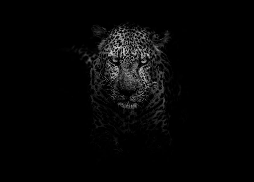 /enhance-your-ide-with-vim-10b0a6ae2e40 feature image