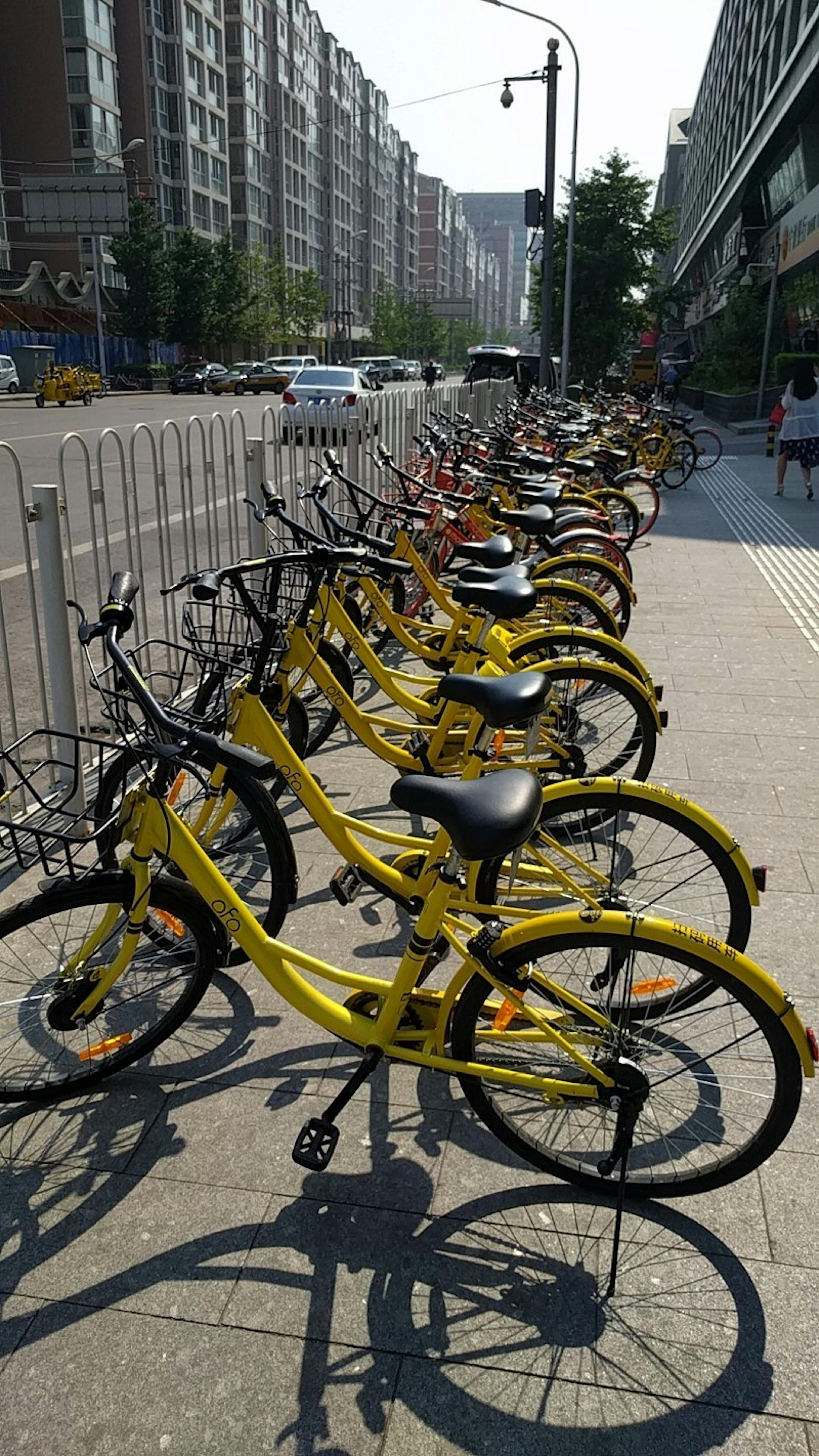 Where Technology Meets Culture: Week 1 of Living in Beijing