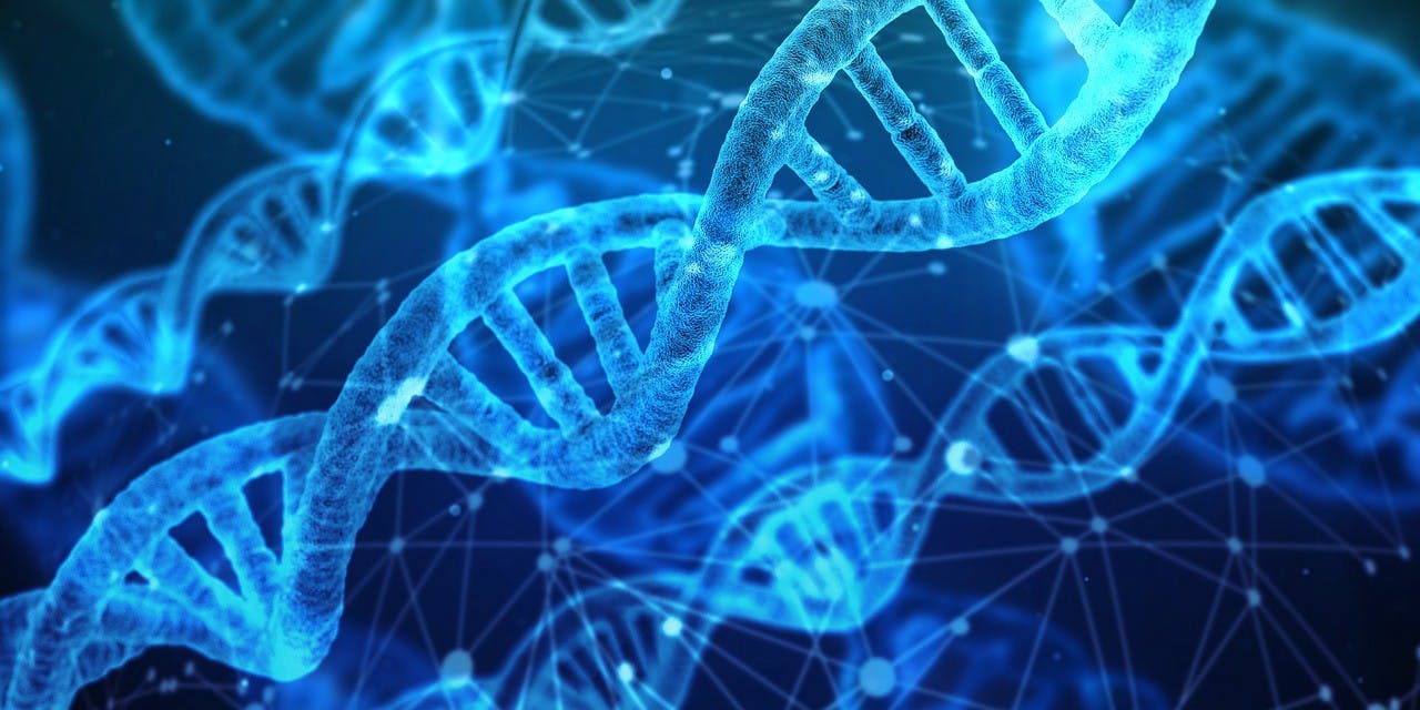 featured image - DNA Data Storage