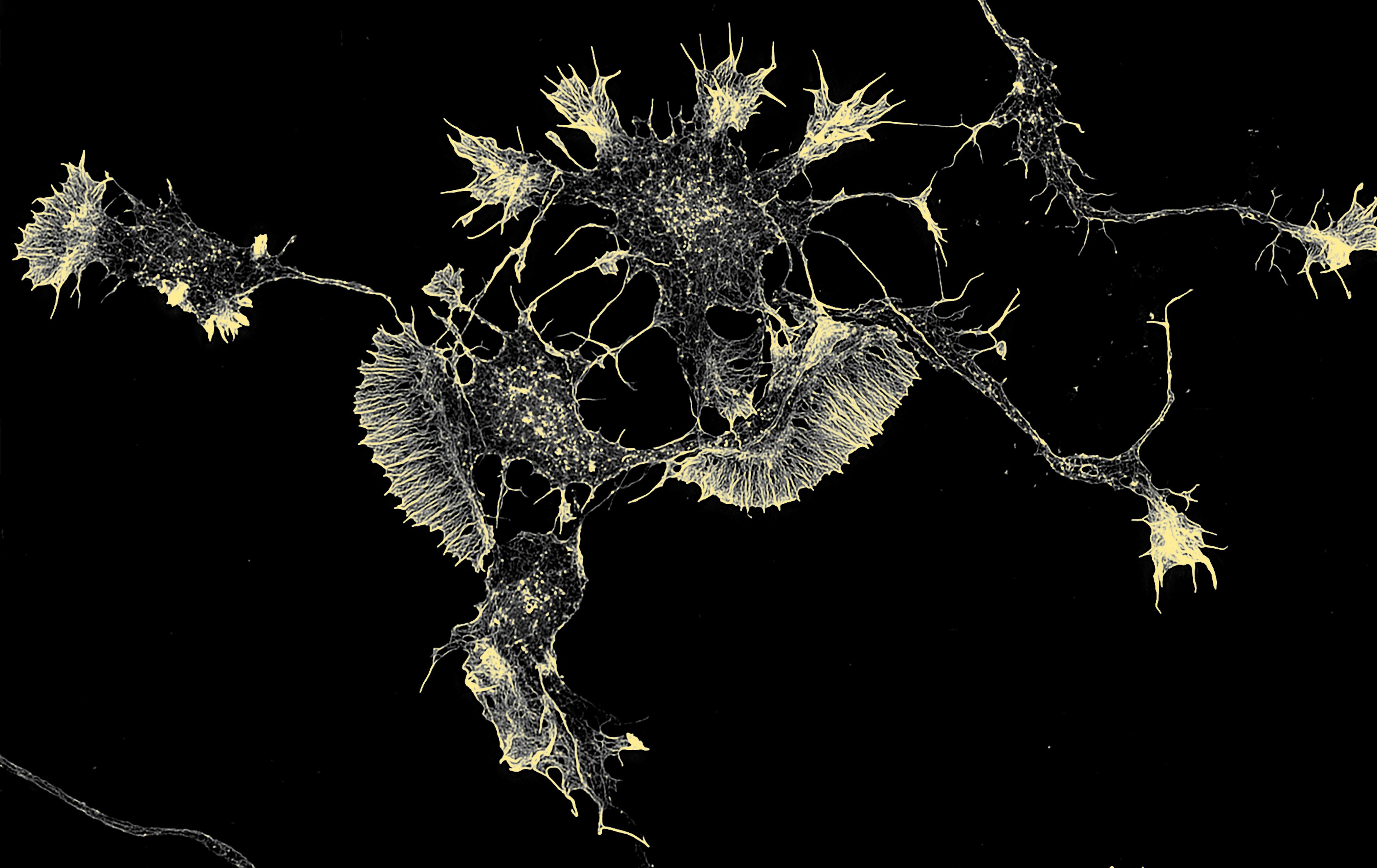 /the-tourists-guide-to-deep-learning-63b89ff7341d feature image