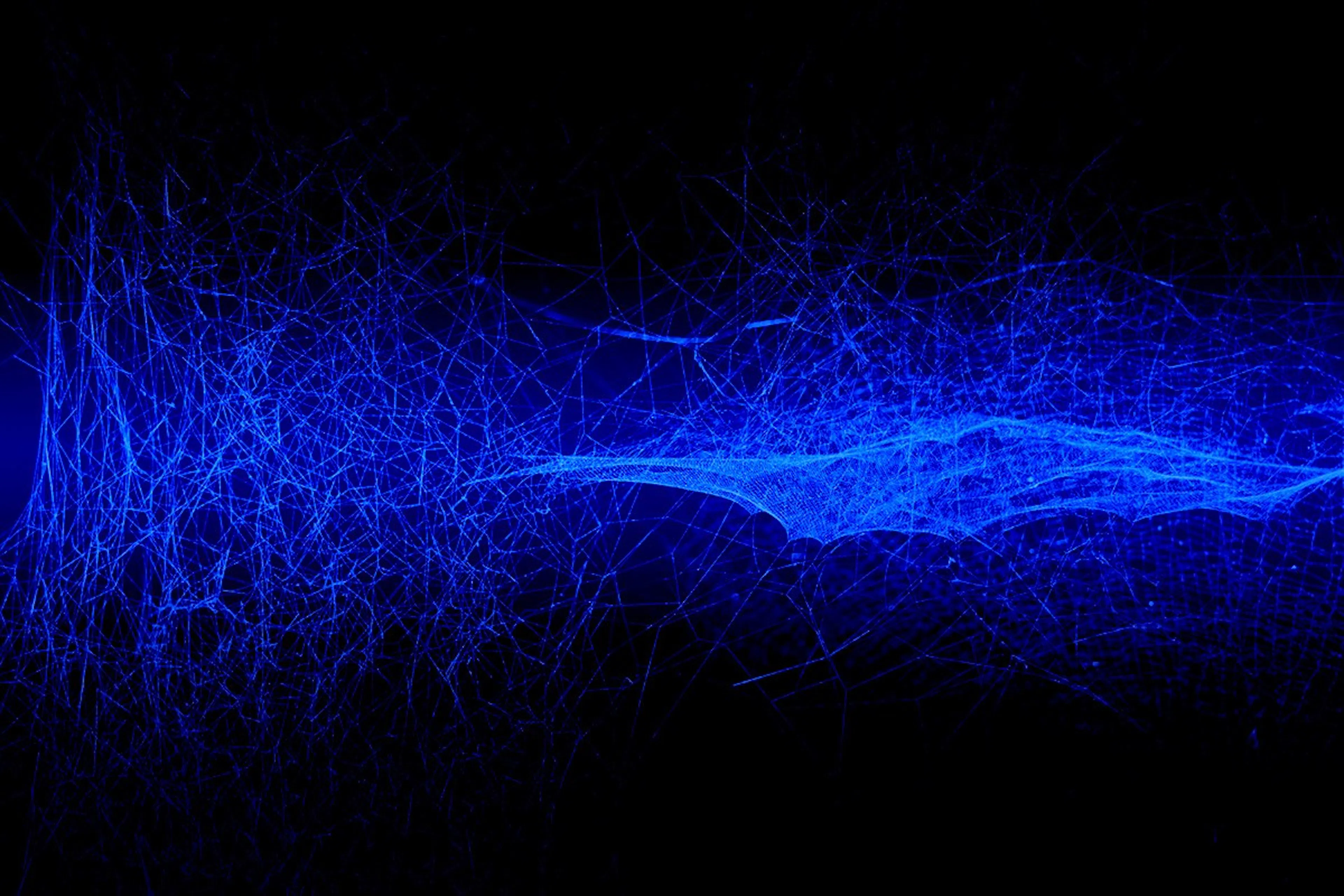 Philipp Reinking's image-d31ea