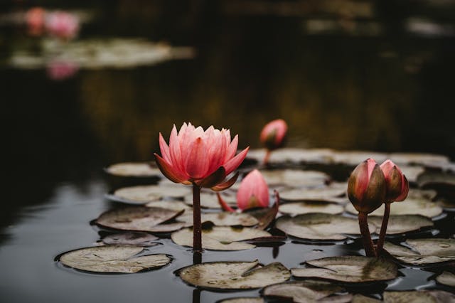 /2018-reflected-b289fc758404 feature image