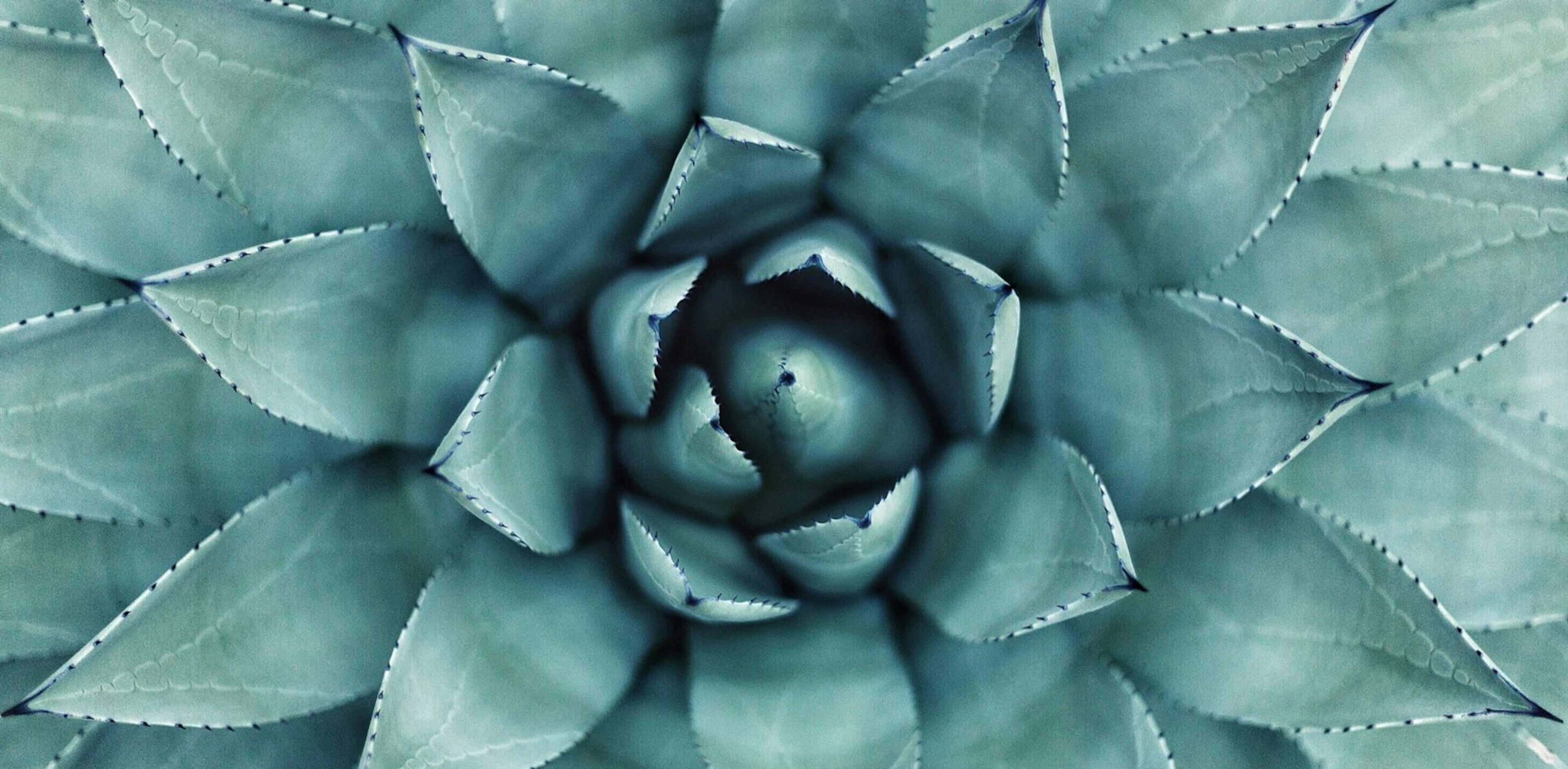 /easy-and-flexible-uikit-layout-without-storyboards-or-auto-layout-2c39e8e408ea feature image