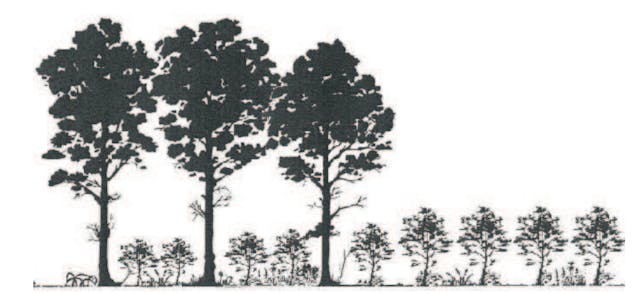 /growth-hacking-vs-value-hacking-141cd1894569 feature image