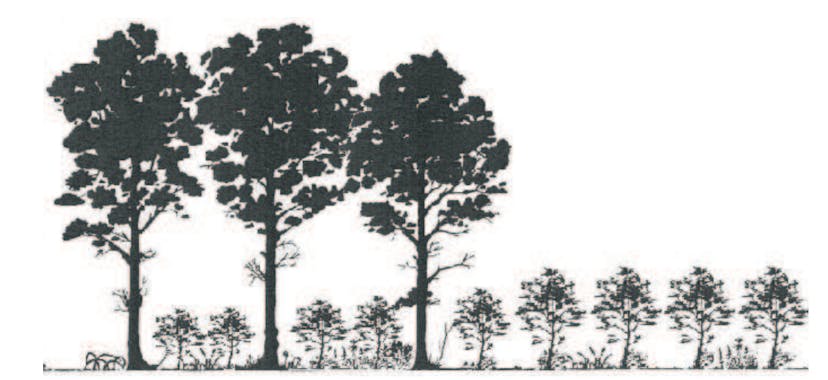 /growth-hacking-vs-value-hacking-141cd1894569 feature image