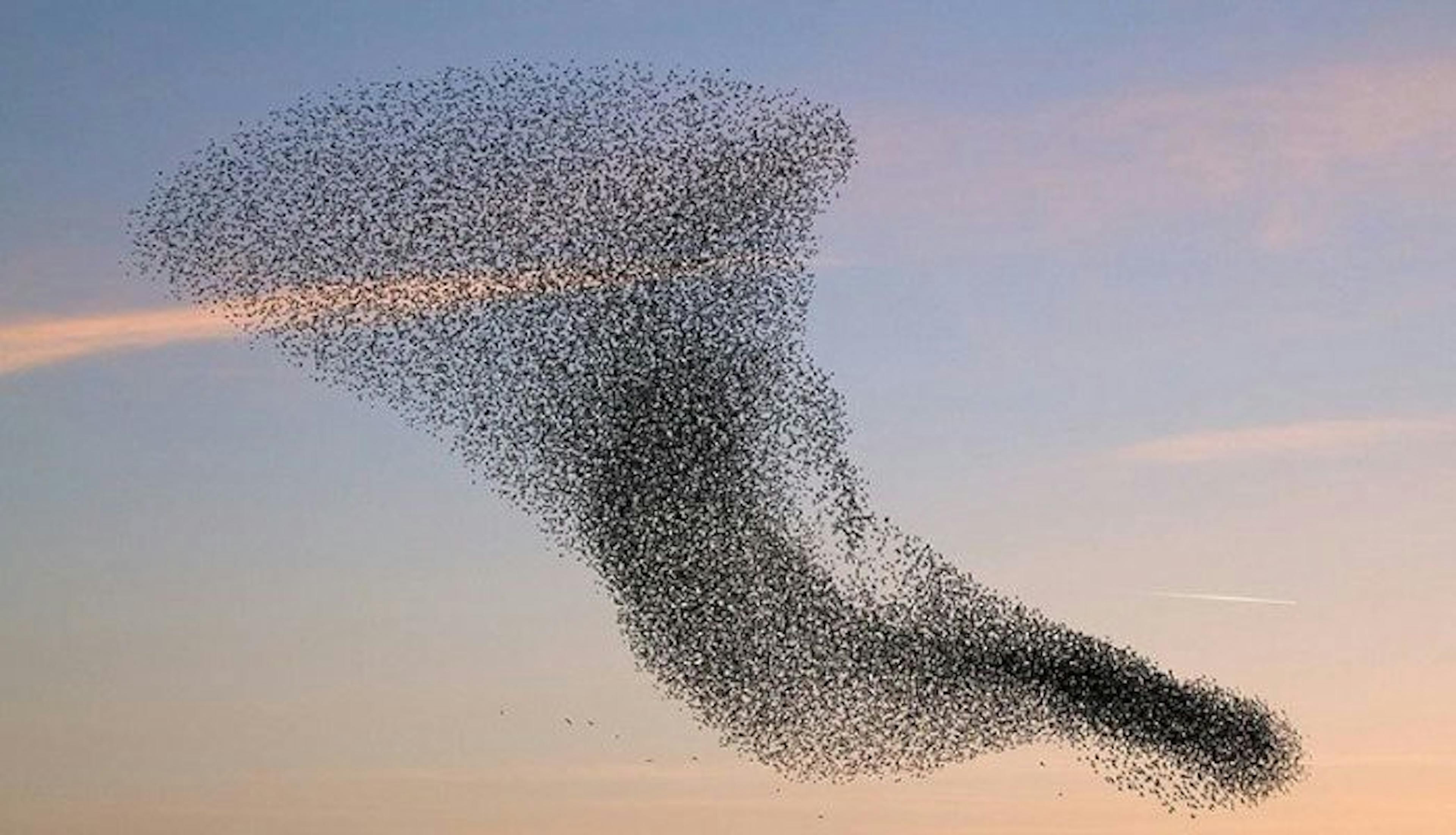 Federated Learning, a step closer towards confidential AI