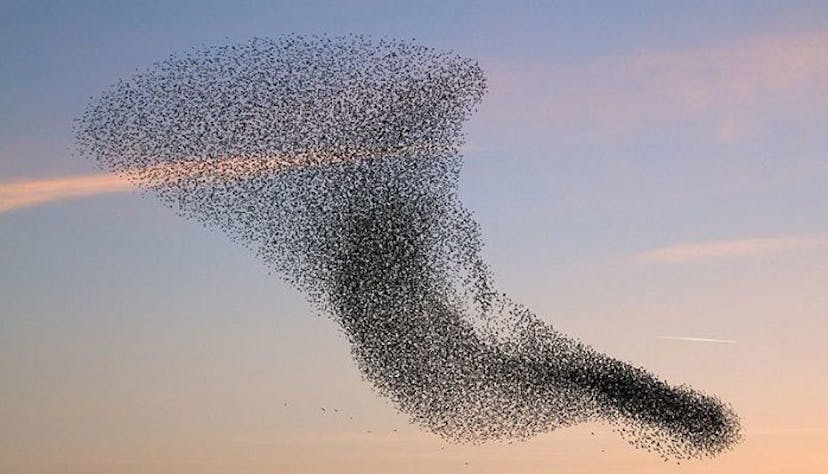 /federated-learning-a-step-closer-towards-confidential-ai-7ac4afa9b437 feature image