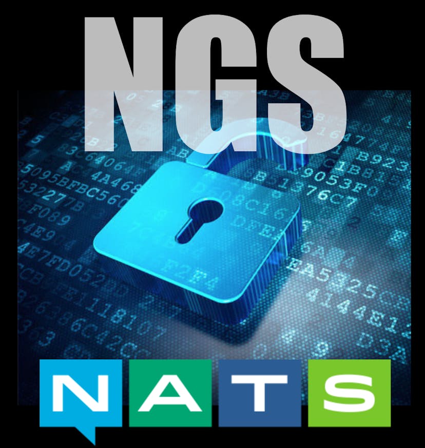 /introducing-ngs-d3d216d0daef feature image