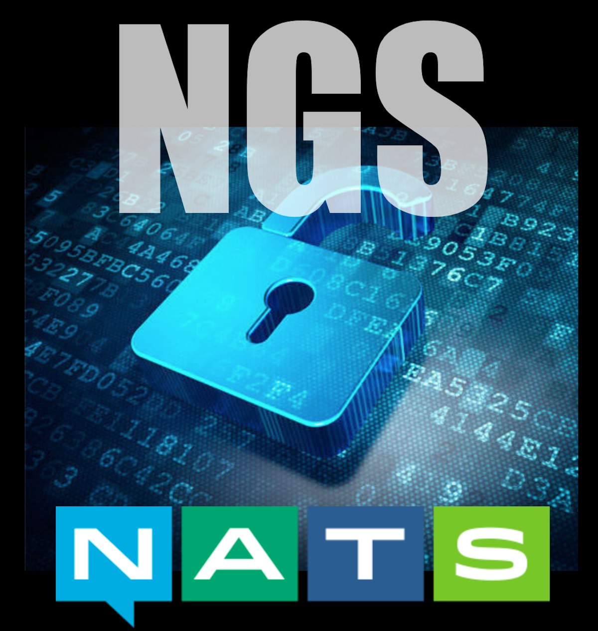 featured image - Introducing NGS