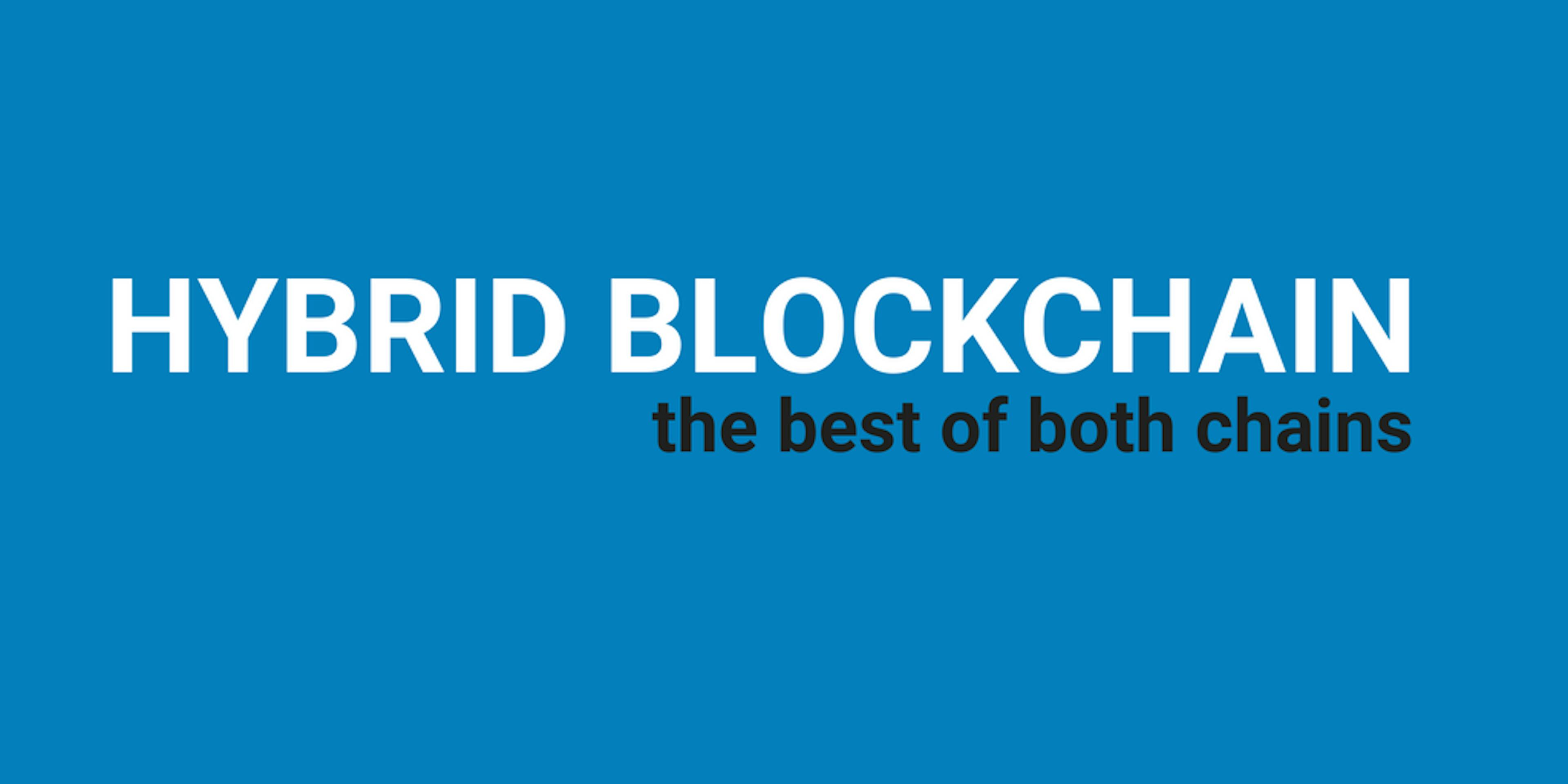 Hybrid Blockchain: The best of both chains