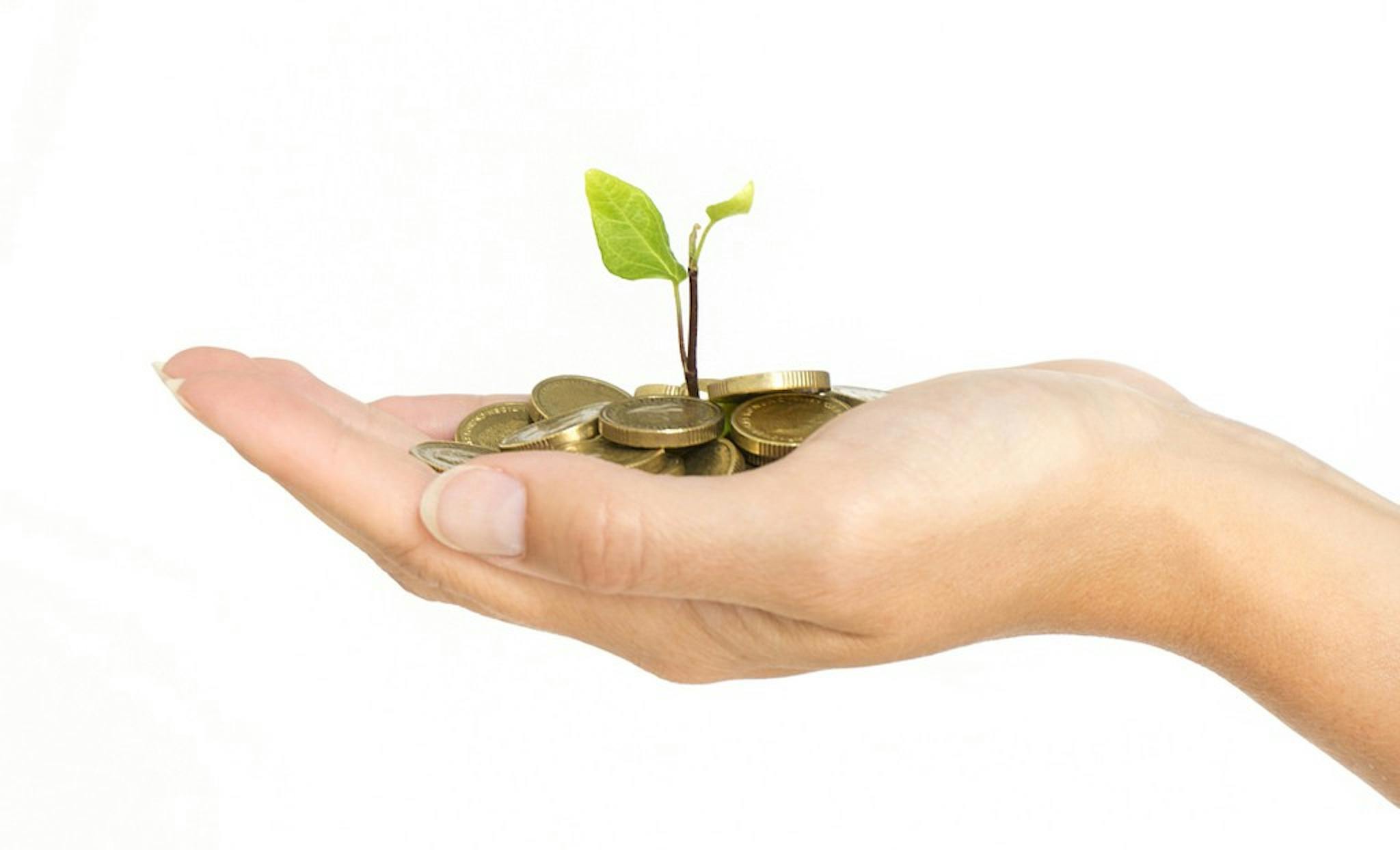 featured image - You Just Raised Seed Funding. Now What?
